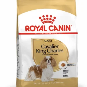 ROYAL CANIN BHN Cavalier King Charles Adult