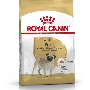 ROYAL CANIN BHN Mops Adult