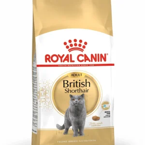 ROYAL CANIN British Shorthair, 10kg