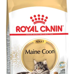 ROYAL CANIN FBN Maine Coon