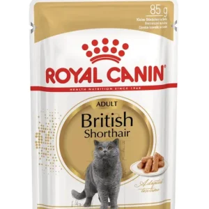 ROYAL CANIN vrećica za mačke FBN British Shorthair 85g