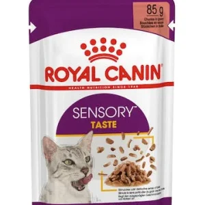 ROYAL CANIN vrećica za mačke FHN Sensory Taste u umaku, 85g