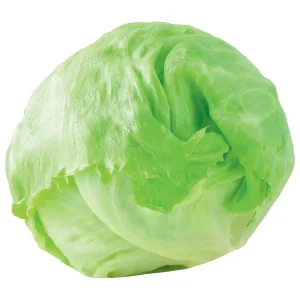 SALATA ICEBERG RNF. ZEMLJA PODRIJEKLA ITALIJA,KLASA 1,2026.