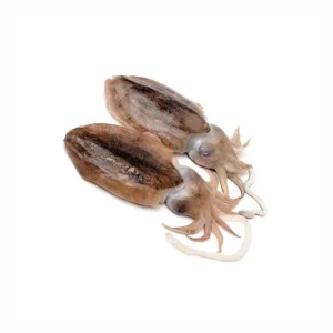 Sipa neočišćena300-600g