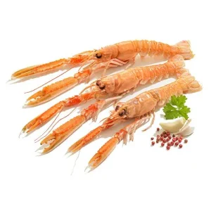 ŠKAMPI STR 08-10 10% LEDA 1,5 kg –