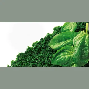 ŠPINAT PASIRANI BRIKETI 2,5kg ORTI