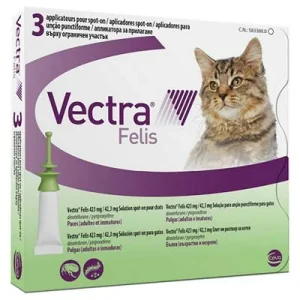 Vectra Felis