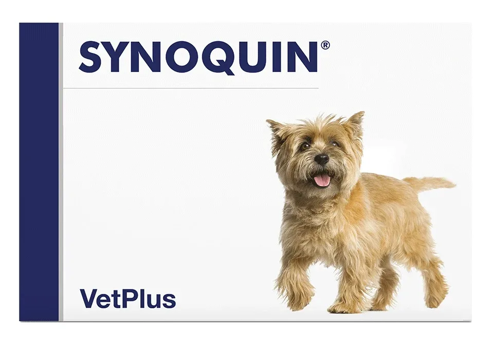 VETPLUS Synoquin Small, zaštita zglobova za pse tj. mase < 10kg, 30 tbl.