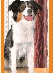 VITAKRAFT Beef Stick Low Fat, poslastica za pse, 1 kom/12g
