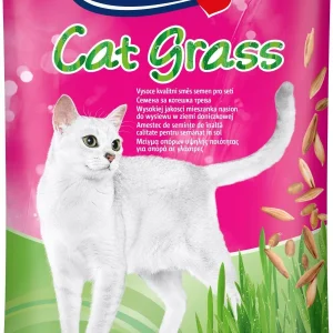 VITAKRAFT Mačja trava, punjenje, 50g